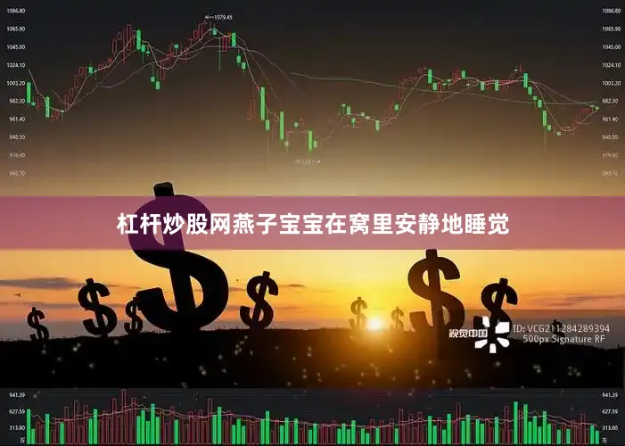 杠杆炒股网燕子宝宝在窝里安静地睡觉