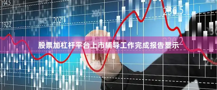 股票加杠杆平台上市辅导工作完成报告显示
