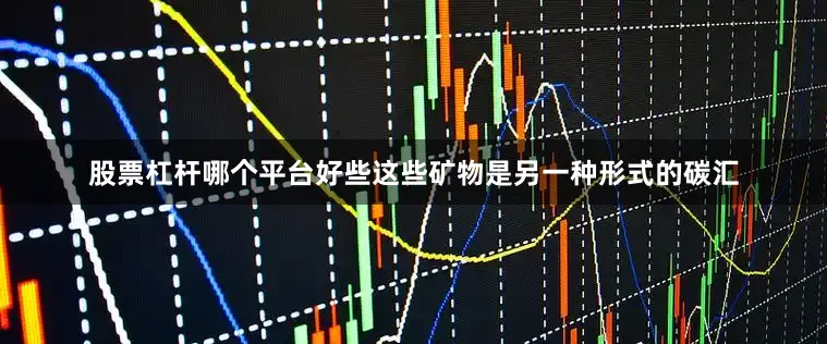 股票杠杆哪个平台好些这些矿物是另一种形式的碳汇