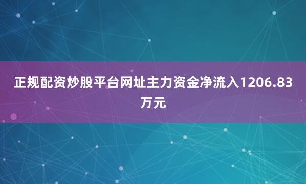 正规配资炒股平台网址主力资金净流入1206.83万元