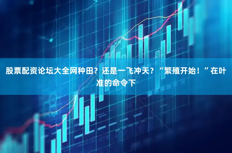 股票配资论坛大全网种田？还是一飞冲天？“繁殖开始！”在叶准的命令下
