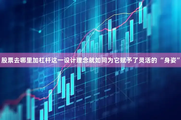 股票去哪里加杠杆这一设计理念就如同为它赋予了灵活的 “身姿”