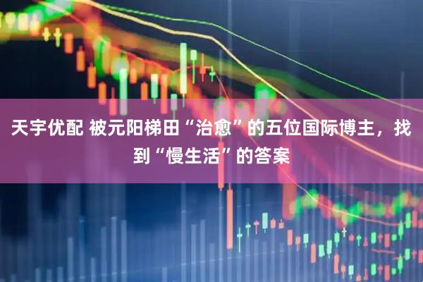 天宇优配 被元阳梯田“治愈”的五位国际博主，找到“慢生活”的答案